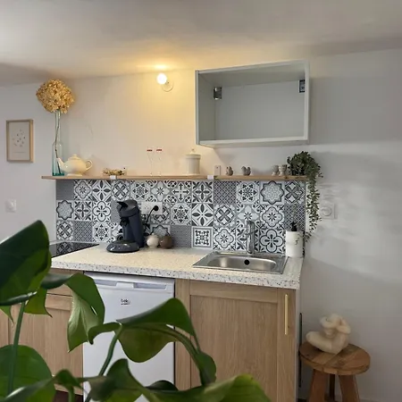 Apartment Maison Champagne Parking Prive & Terrasse *